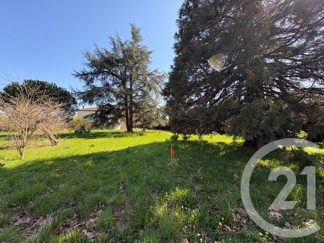 terrain - MONTECH - 82