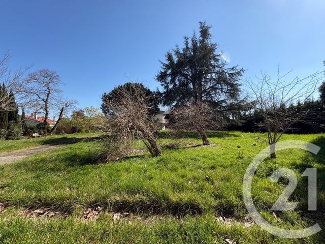 terrain - MONTECH - 82