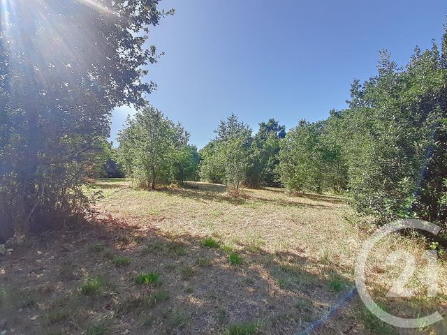 Terrain &agrave; vendre - 6300 m2 - Auterive - 31 - MIDI-PYRENEES