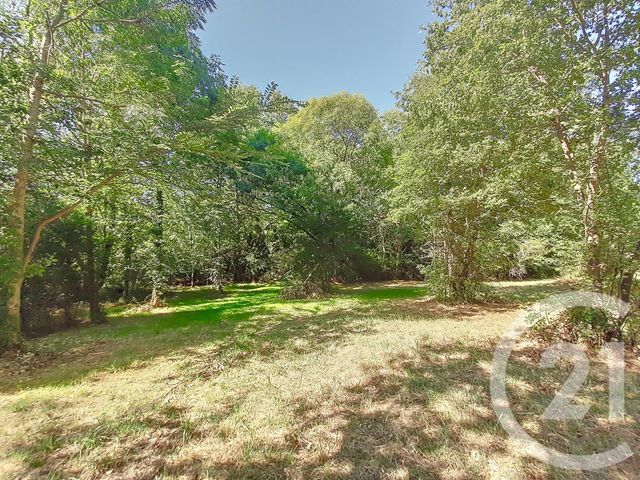 Terrain &agrave; vendre - 6300 m2 - Auterive - 31 - MIDI-PYRENEES