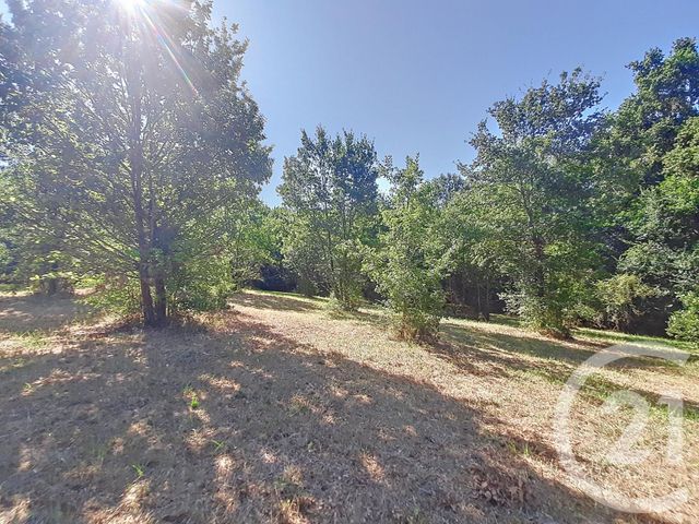 Terrain &agrave; vendre - 6300 m2 - Auterive - 31 - MIDI-PYRENEES