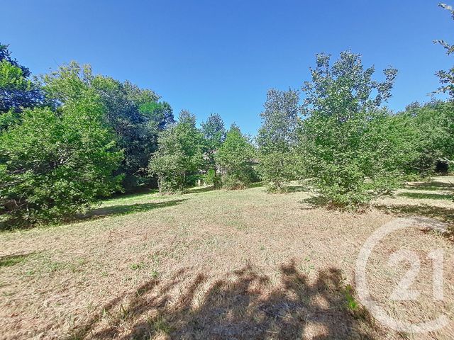 Terrain &agrave; vendre - 6300 m2 - Auterive - 31 - MIDI-PYRENEES