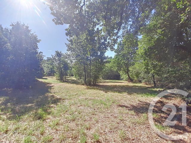 Terrain &agrave; vendre - 6300 m2 - Auterive - 31 - MIDI-PYRENEES