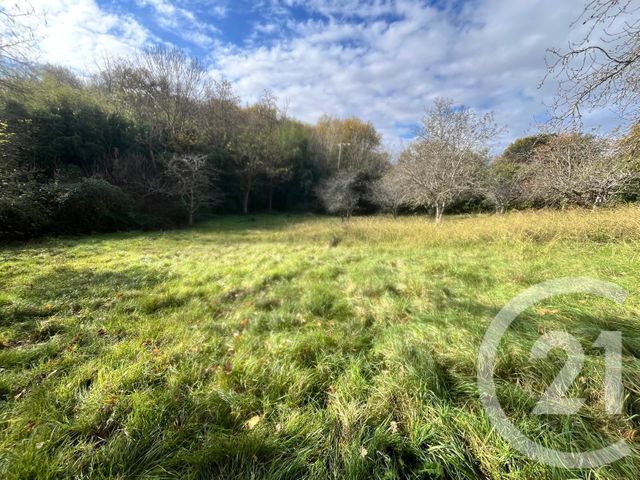 terrain - MIREMONT - 31