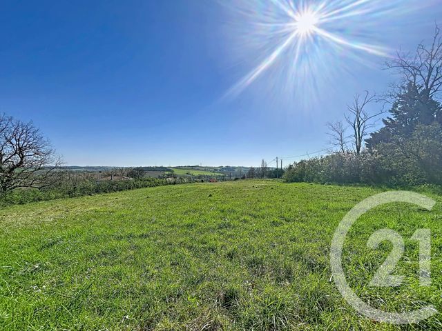 Terrain &agrave; vendre - 3430 m2 - Labruyere Dorsa - 31 - MIDI-PYRENEES
