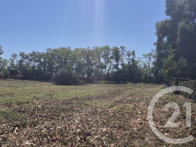 Terrain &agrave; vendre - 3575 m2 - Miremont - 31 - MIDI-PYRENEES