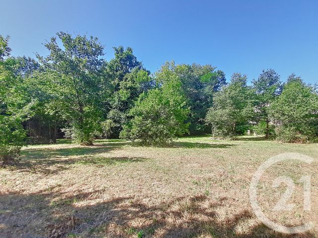 Terrain &agrave; vendre - 6300 m2 - Auterive - 31 - MIDI-PYRENEES