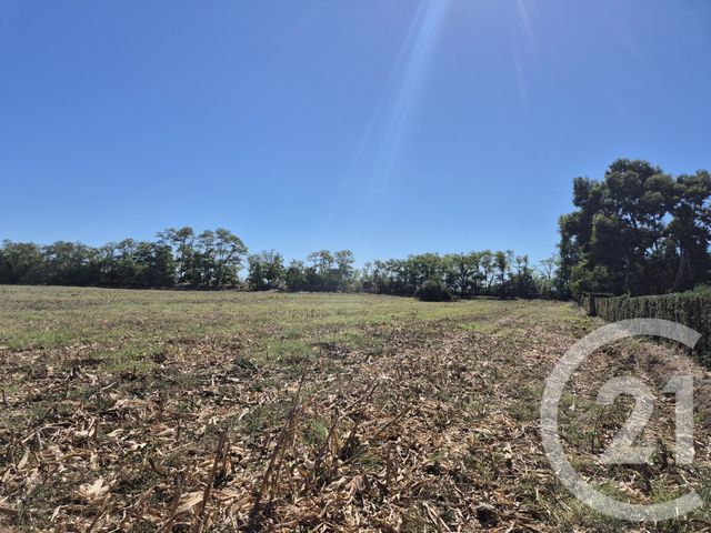 Terrain &agrave; vendre - 3605 m2 - Miremont - 31 - MIDI-PYRENEES