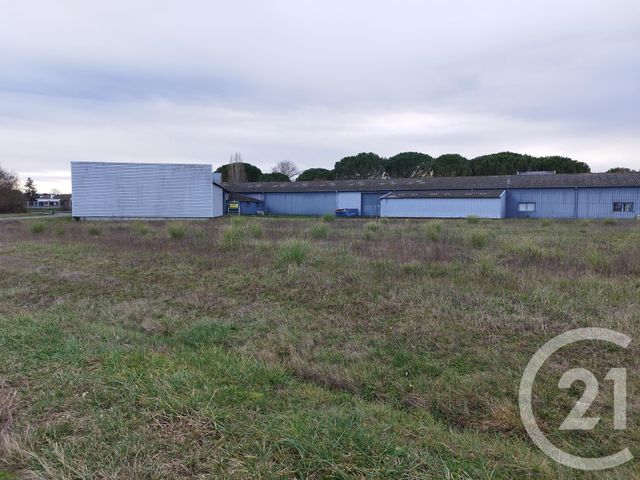 Local commercial à louer - 1759.0 m2 - 31 - Haute-Garonne