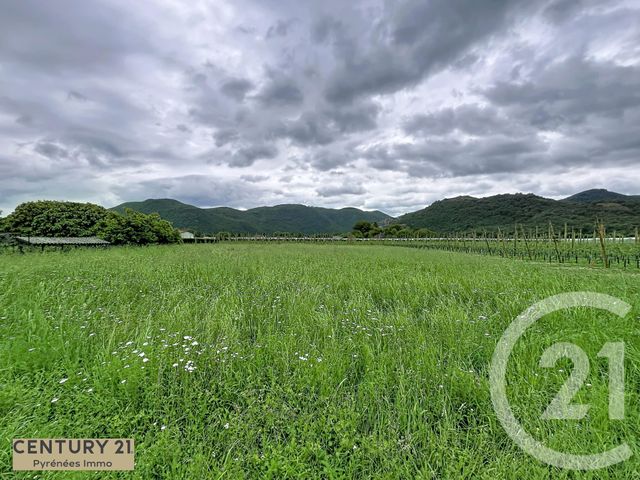 Terrain &agrave; vendre - 1982 m2 - Izaourt - 65 - MIDI-PYRENEES