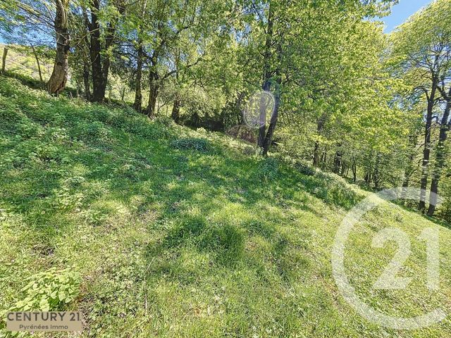 Maison à vendre - 1 pièce - 25 m2 - Cierp Gaud - 31 - MIDI-PYRENEES