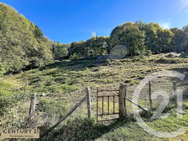 Terrain &agrave; vendre - 3429 m2 - Bezins Garraux - 31 - MIDI-PYRENEES
