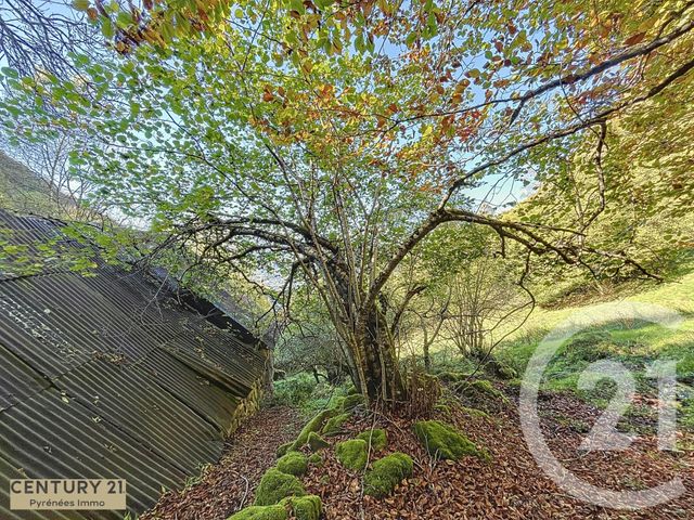 Maison à vendre - 1 pièce - 40 m2 - Esbareich - 65 - MIDI-PYRENEES