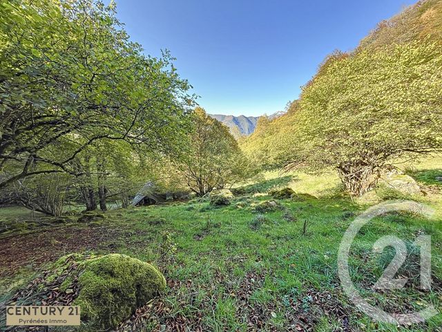 Maison à vendre - 1 pièce - 40 m2 - Esbareich - 65 - MIDI-PYRENEES