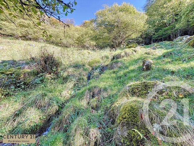 Maison à vendre - 1 pièce - 40 m2 - Esbareich - 65 - MIDI-PYRENEES