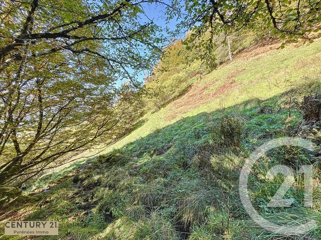 Maison à vendre - 1 pièce - 40 m2 - Esbareich - 65 - MIDI-PYRENEES