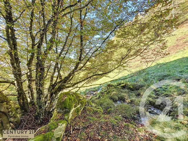 Maison à vendre - 1 pièce - 40 m2 - Esbareich - 65 - MIDI-PYRENEES