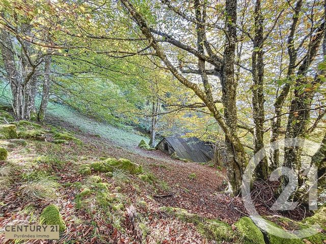 Maison à vendre - 1 pièce - 40 m2 - Esbareich - 65 - MIDI-PYRENEES