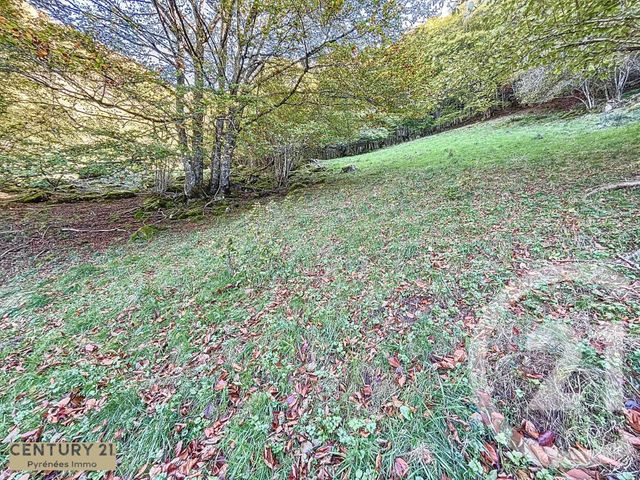 Maison à vendre - 1 pièce - 40 m2 - Esbareich - 65 - MIDI-PYRENEES