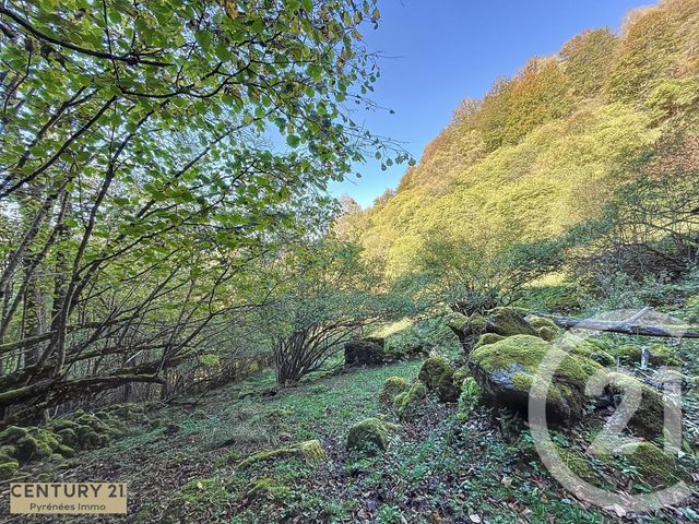 Maison à vendre - 1 pièce - 40 m2 - Esbareich - 65 - MIDI-PYRENEES