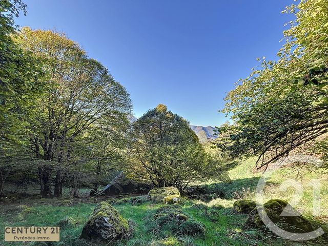 Maison à vendre - 1 pièce - 40 m2 - Esbareich - 65 - MIDI-PYRENEES