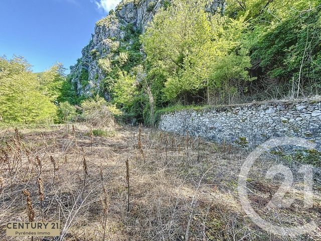 Maison à vendre - 30 pièces - 303 m2 - St Beat Lez - 31 - MIDI-PYRENEES