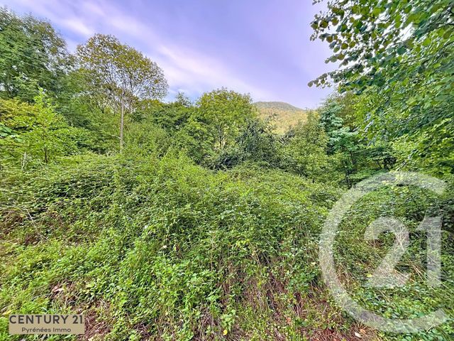 Terrain &agrave; vendre - 1395 m2 - Burgalays - 31 - MIDI-PYRENEES