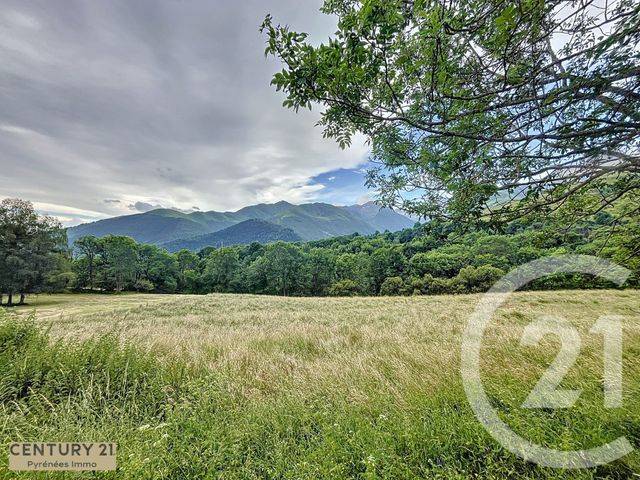 Terrain &agrave; vendre - 5447 m2 - Cathervielle - 31 - MIDI-PYRENEES