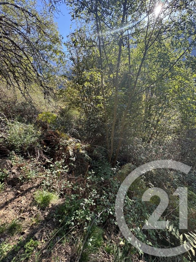 Terrain &agrave; vendre - 320 m2 - Melles - 31 - MIDI-PYRENEES