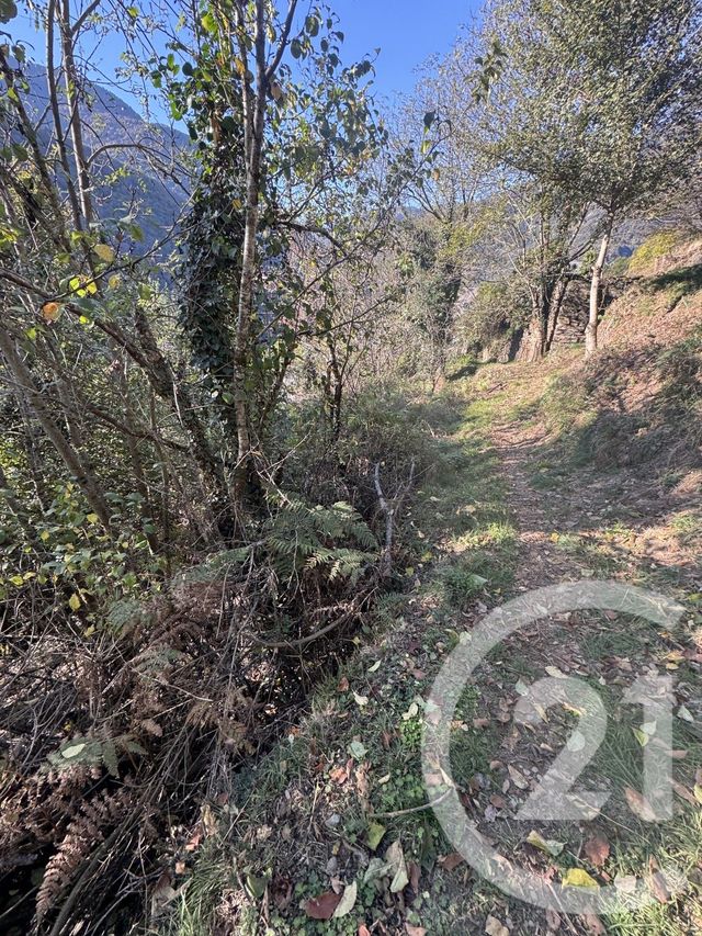 terrain - MELLES - 31