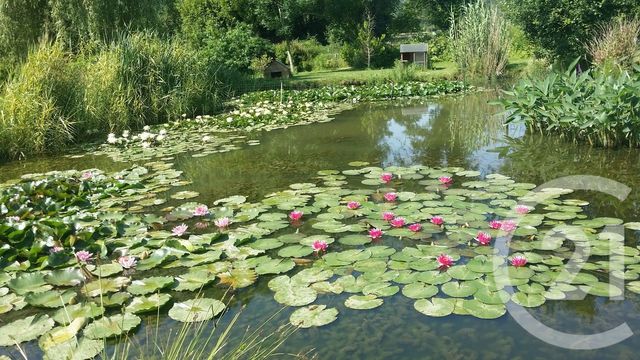 Maison &agrave; vendre - 5 pi&egrave;ces - 165,38 m2 - Selens - 02 - PICARDIE