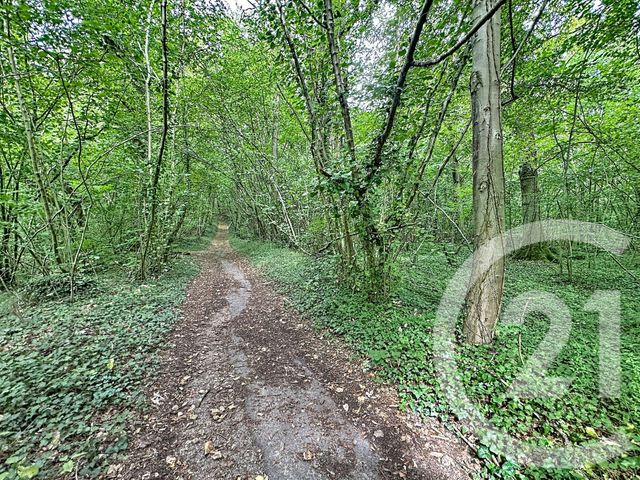 Terrain &agrave; vendre - 41553 m2 - Longueil Annel - 60 - PICARDIE