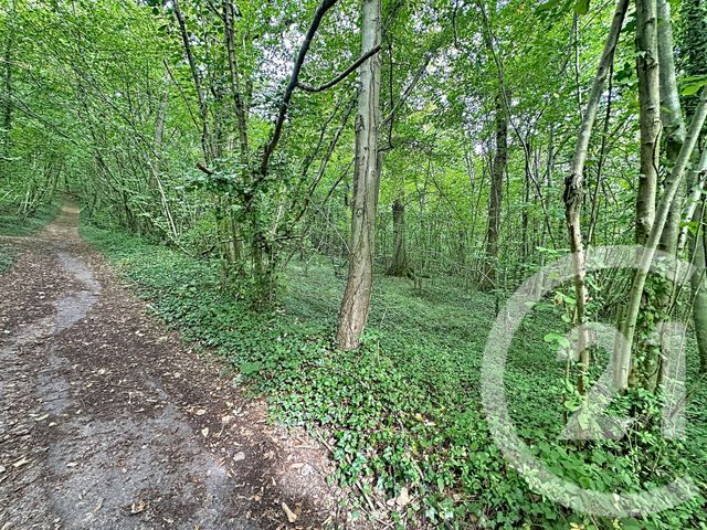 Terrain &agrave; vendre - 41553 m2 - Longueil Annel - 60 - PICARDIE