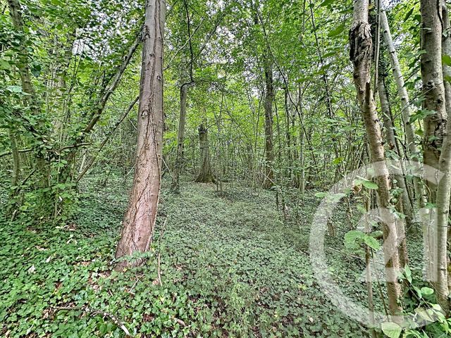 Terrain &agrave; vendre - 41553 m2 - Longueil Annel - 60 - PICARDIE