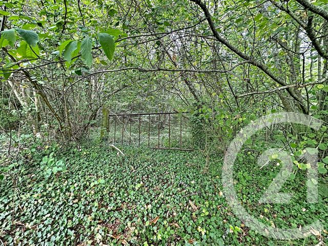 Terrain &agrave; vendre - 41553 m2 - Longueil Annel - 60 - PICARDIE