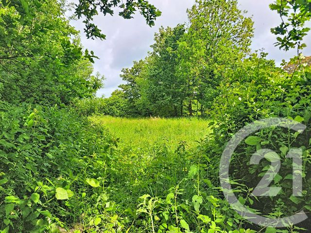 Maison &agrave; vendre - 5 pi&egrave;ces - 78 m2 - St Fiacre - 22 - BRETAGNE