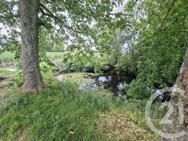 Maison &agrave; louer - 3 pi&egrave;ces - 81,42 m2 - Argentre Du Plessis - 35 - BRETAGNE