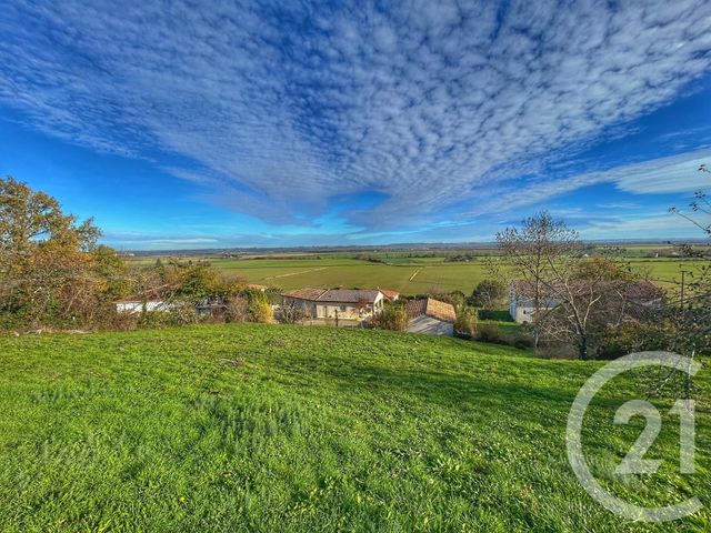 terrain - CANTE - 09