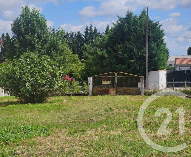 terrain - SAVERDUN - 09