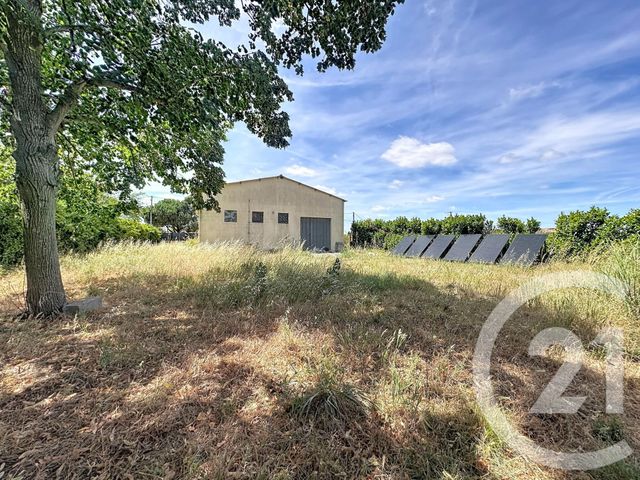 Divers &agrave; vendre - 187 m2 - Saverdun - 09 - MIDI-PYRENEES
