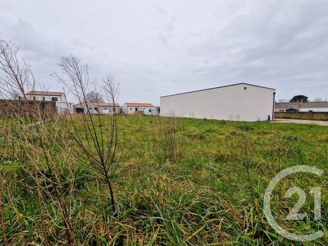 Terrain à vendre - 435 m2 - Grosbreuil - 85 - PAYS-DE-LOIRE