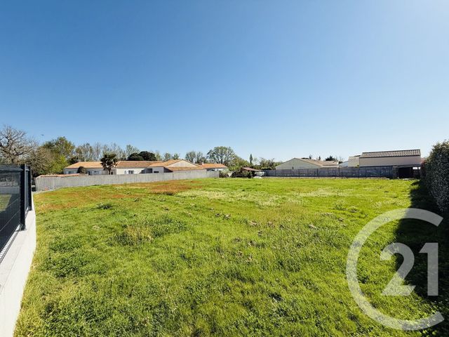 terrain - TALMONT ST HILAIRE - 85