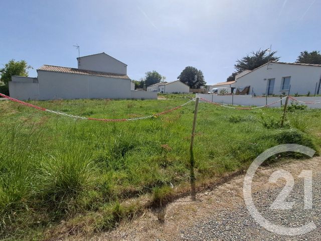 terrain - TALMONT ST HILAIRE - 85