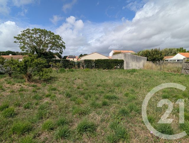 terrain - TALMONT ST HILAIRE - 85