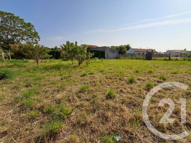 terrain - TALMONT ST HILAIRE - 85