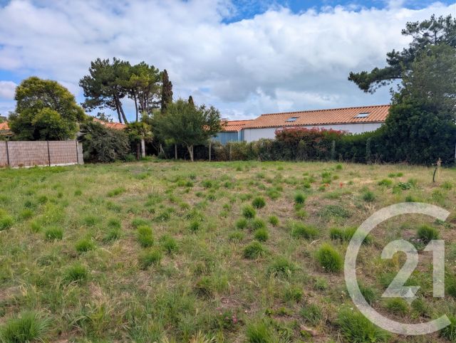 terrain - TALMONT ST HILAIRE - 85