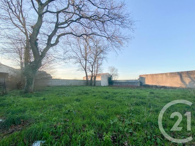 terrain - GROSBREUIL - 85