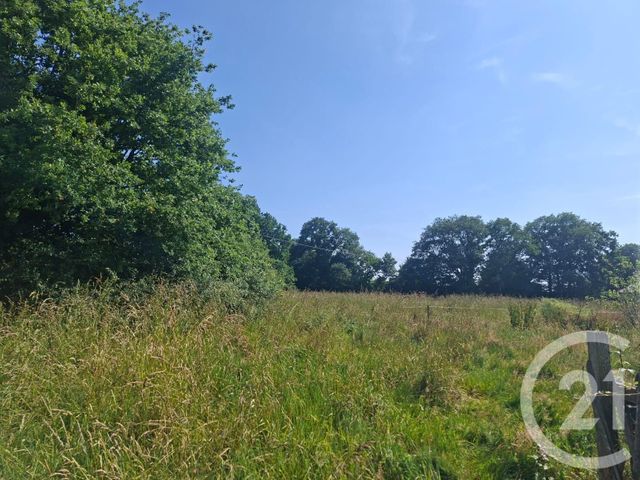 Maison à vendre - 6 pièces - 223 m2 - Coesmes - 35 - BRETAGNE