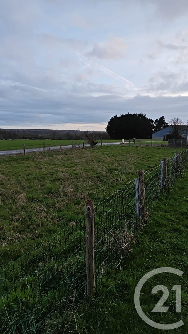 terrain - LOUISFERT - 44