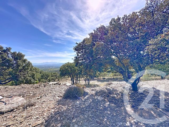 Maison à vendre - 13 pièces - 486,88 m2 - Calce - 66 - LANGUEDOC-ROUSSILLON